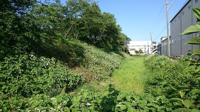 本丸土塁と堀(南側)