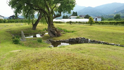 お庭の泉水と樹齢350年の柳の木
