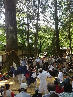 明建神社七日祭のクライマックス　野祭り