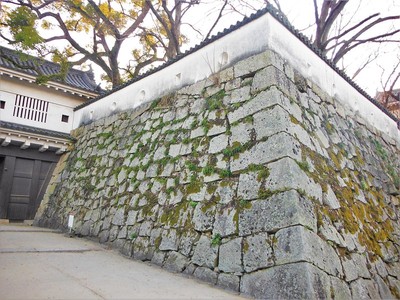 小納戸櫓下の石垣