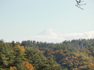二の郭からの眺望（富士山）