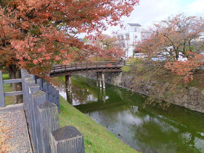 二ノ丸堀（北側）と木橋