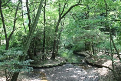 平山城址公園