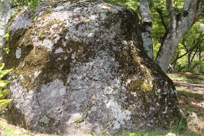 大きな石