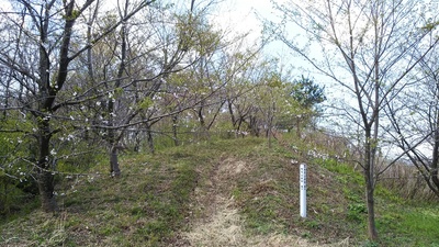 桜が散っている物見山砦入口（2017.4）