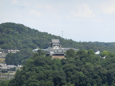 展望台から見た犬山城