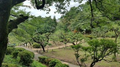大倉山公園(梅林エリア)