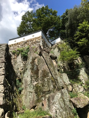 真田丸オープニングの岩