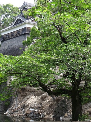 飯田丸五階櫓下の石垣（備前堀前から）