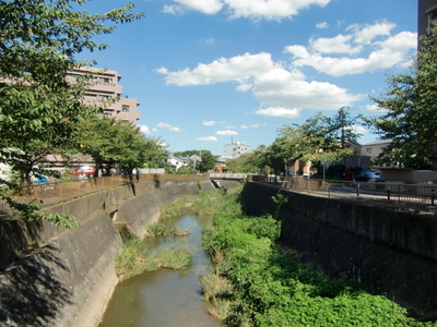 城址付近を流れる三沢川