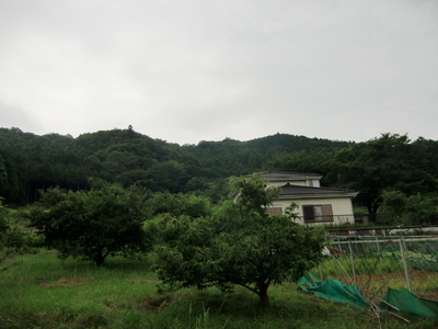 伏馬田城遠景