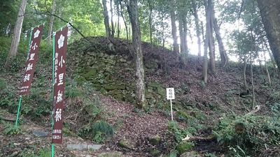 登城口付近の石垣