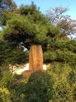 雑木に覆われた石碑