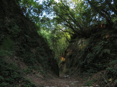 堀底の通路