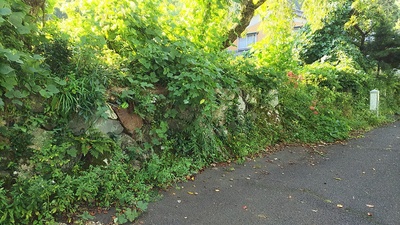 準藩士屋敷跡の石垣