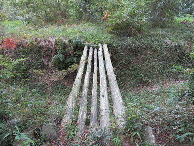 堀に架かる木橋