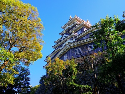 旭川側からの天守天守