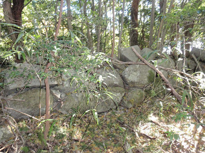 佐々木城址石碑への登口付近の石垣