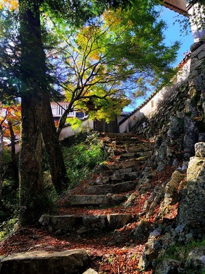 松山城 天守への石段