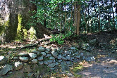 蛭子神社（北西側）土塁