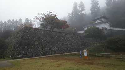 霧がかっている櫓と石垣