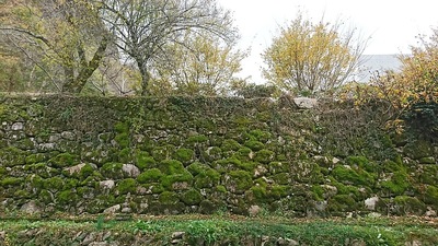 鶴首城 陣屋の裏側の石垣