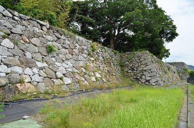 内堀跡から本丸石垣