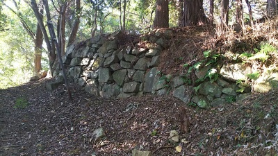 本丸跡への登城道の途中にある石垣