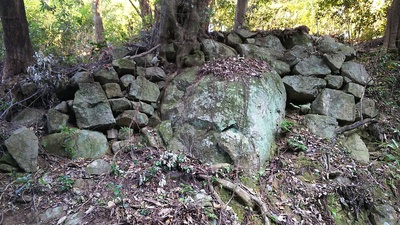 本丸跡へ行く登城道の途中にある石垣