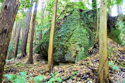 登城道の巨岩