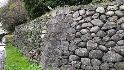 鳥と石垣