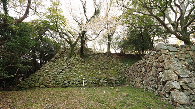 南の丸隅櫓・城門石垣