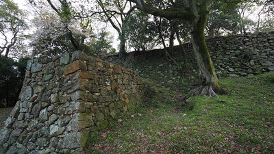 南の丸東側石垣