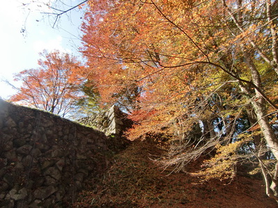 石垣と紅葉その1