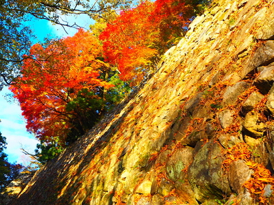 紅葉◆本丸石垣