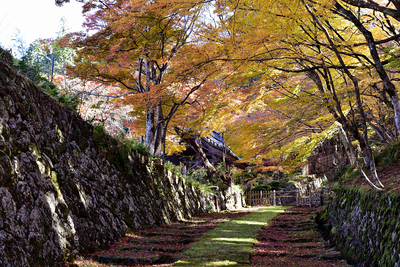 百済寺 (湖東三山) 石段