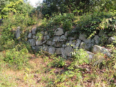 本丸南側の石段