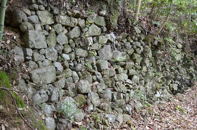 登城道途中の石垣