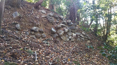 鳩の峰の北側にある曲輪の北側ある石垣跡