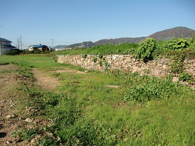 堀跡と石垣