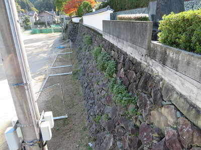 三の丸外堀の石垣