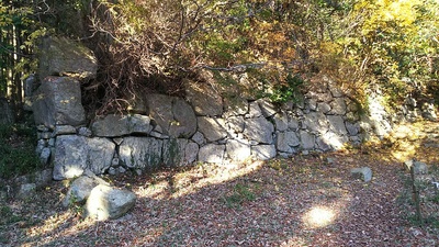 平井丸の南側の石垣