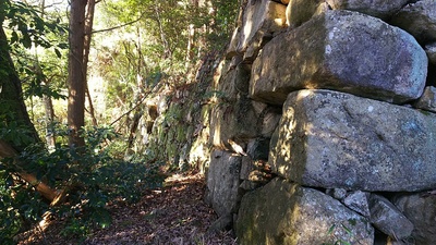 平井丸の西側の石垣