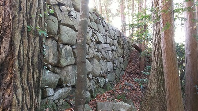 池田丸の西側の虎口から見る石垣