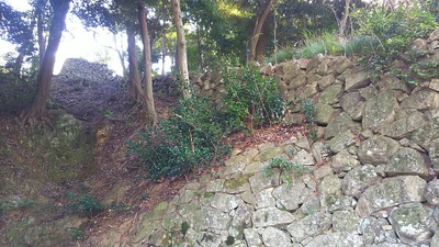西の丸～出曲輪の竪堀（南側）にある登り石垣を下から見る