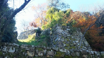 鐘の丸東側の竪堀の登り石垣