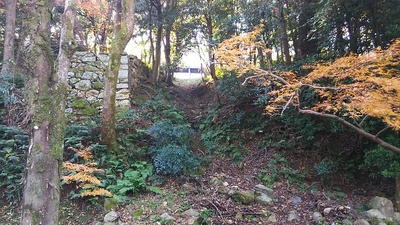 西の丸～出曲輪の竪堀（北側）の登り石垣を下から見る