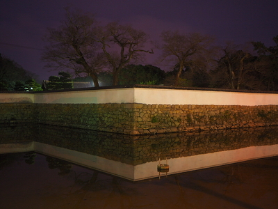 堀と石垣◆丸亀夜城