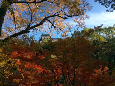 西の丸庭園から見た和歌山城