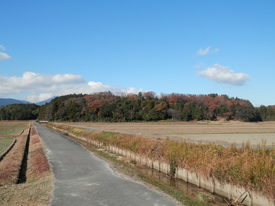 遠景　東側から